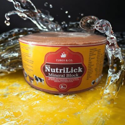 NutriLick Mineral Block