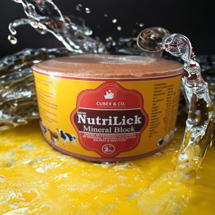 NutriLick Mineral Block