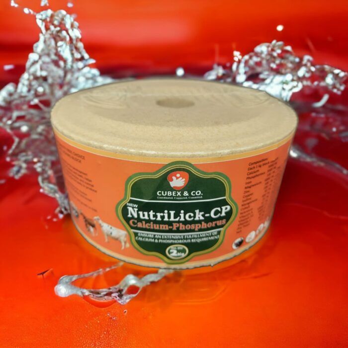 NutriLick-CP Calcium-Phosphorus