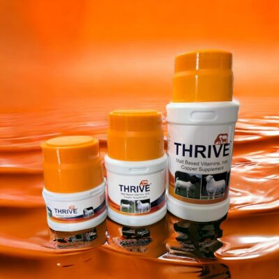 Thrive - Malt Based Vitamins, Iron, Copper Supplement