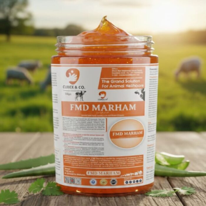 FMD MARHAM